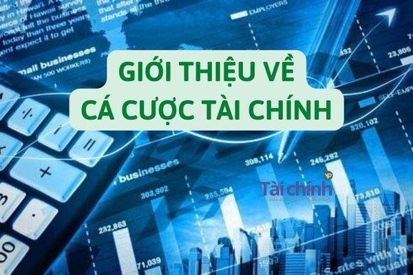Giải mã sự thật về Macao Club lừa đảo và cách nhận diện Macao Club lừa đảo